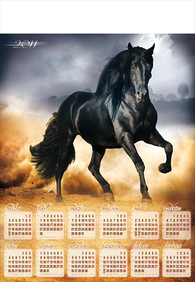 kalendarz 2011 - kalendarz 2011kon.png