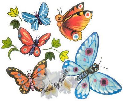 Obrazki Motyle - Borbo 15.jpg