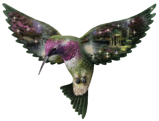 Ptaki - animals-3.gif