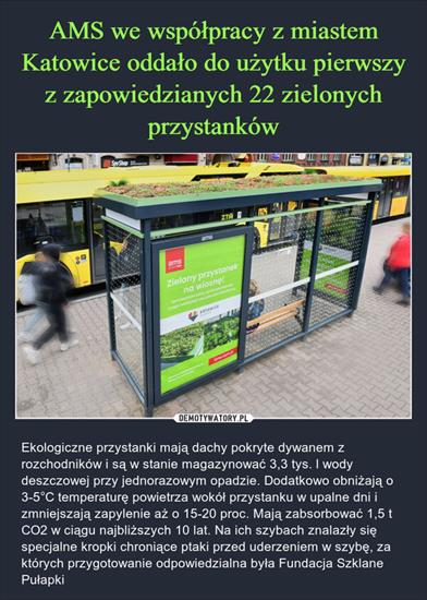 Demotywatory, Wiocha i Inne - Zielone Przystanki w Katowicach.jpg